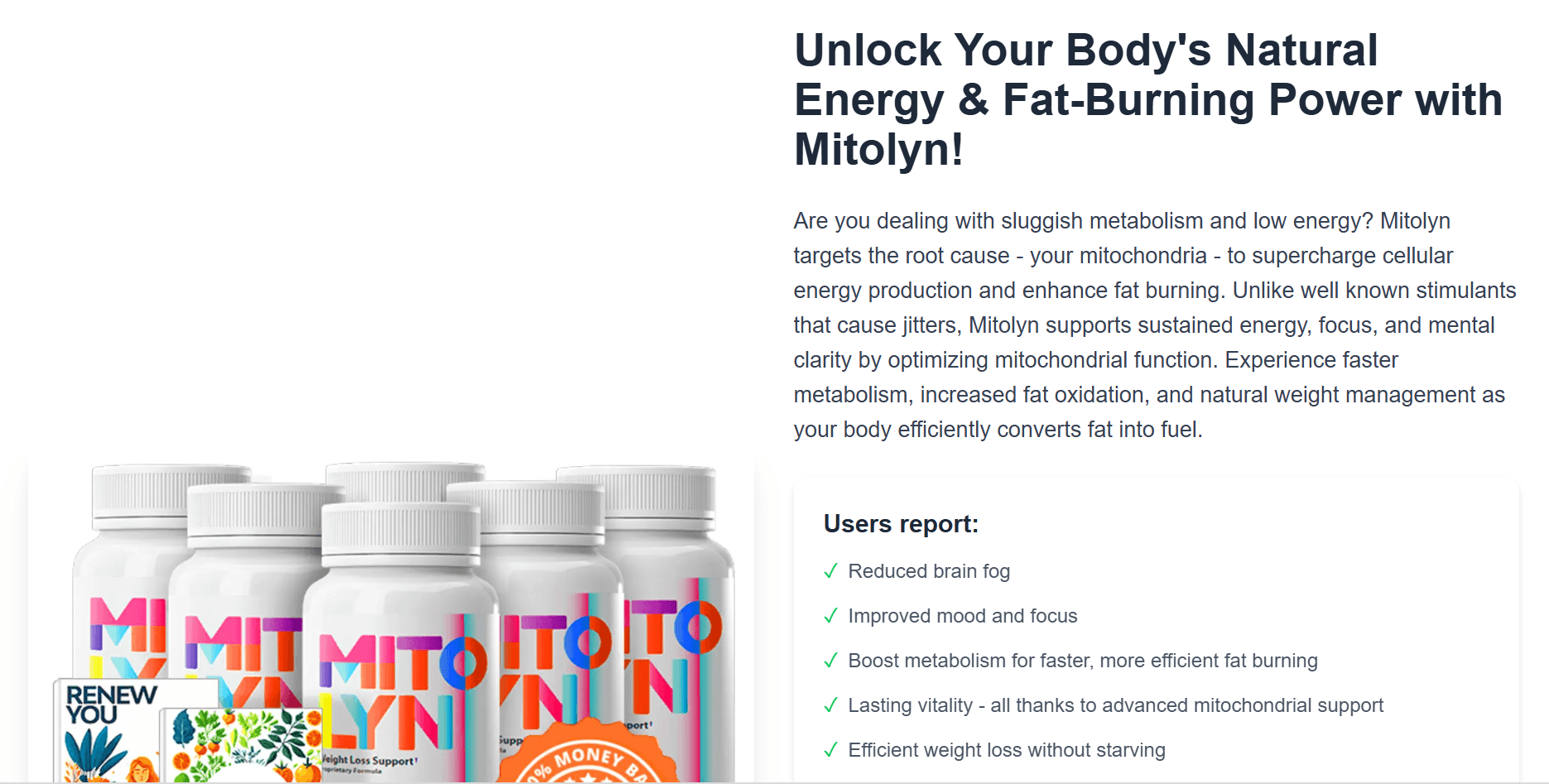 Affiliate Marketing Platform - Detailed View