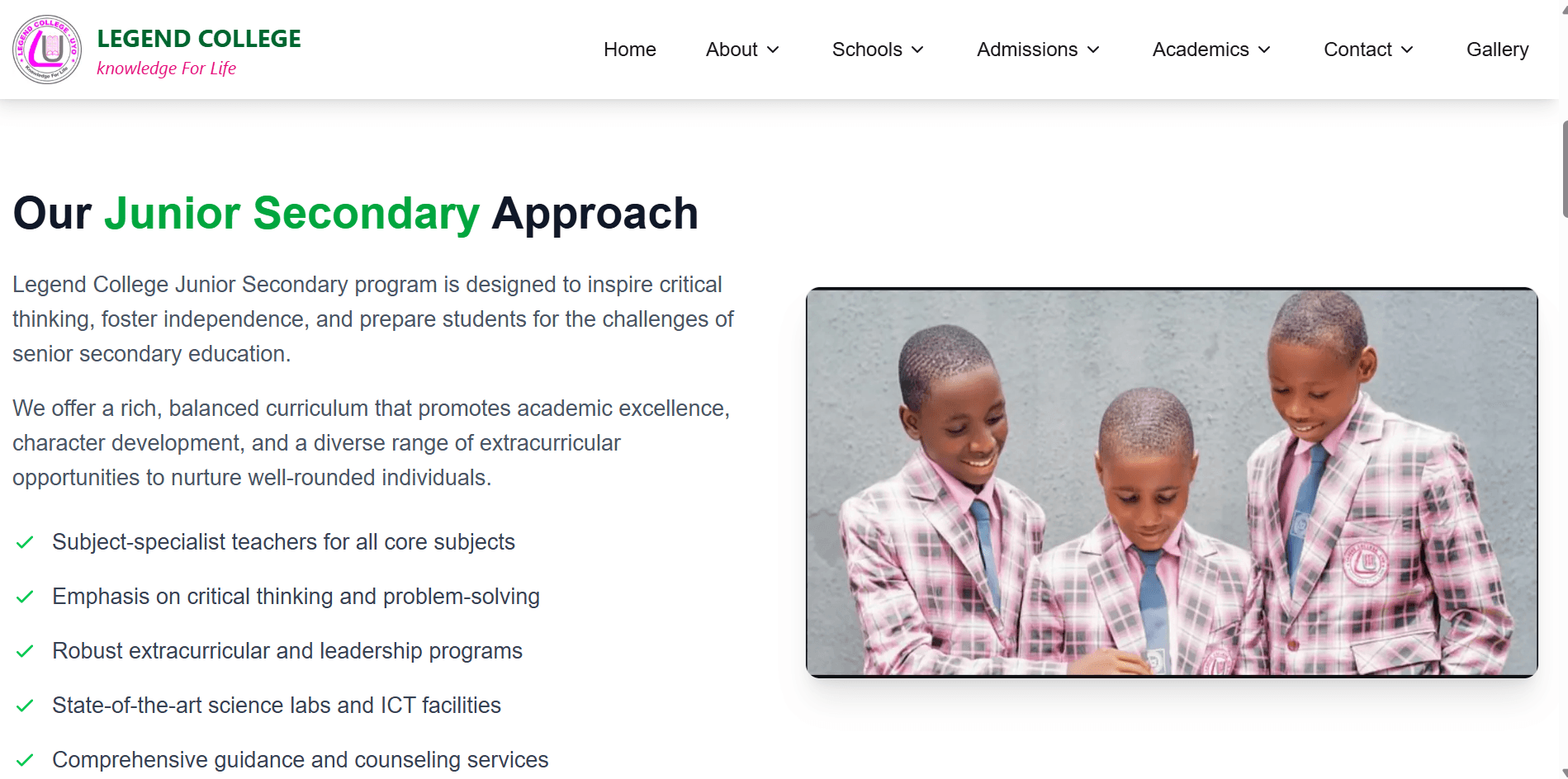 School Website - Detailed View